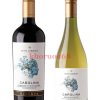 Bộ đôi Vang Chile Santa Carolina Reserva Chardonnay
