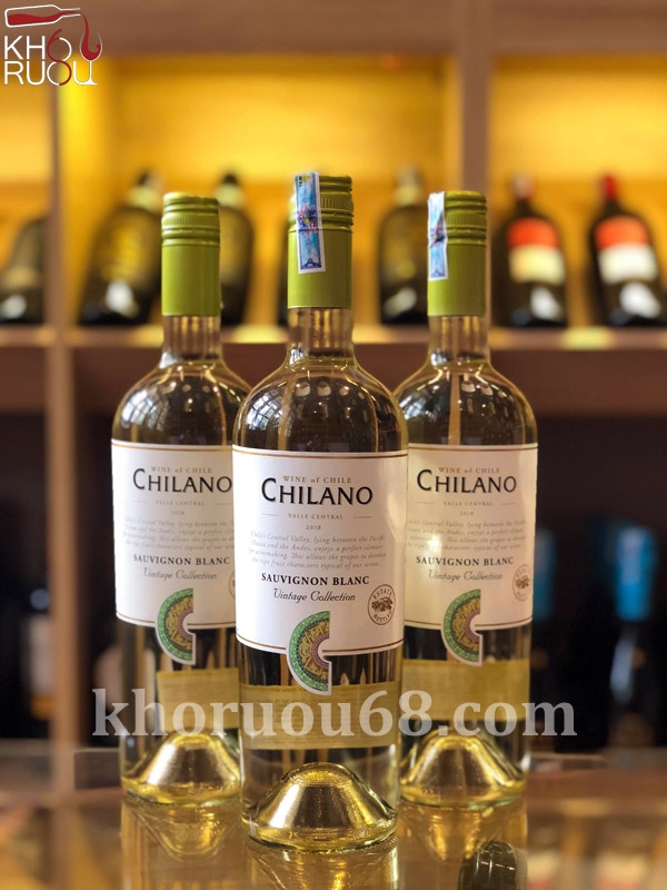 ChiLano Sauvignon Blanc