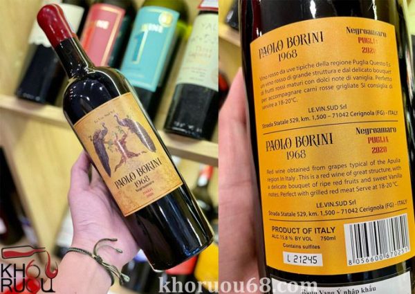 Rượu Vang Ý Paolo Borini 15,8 Độ