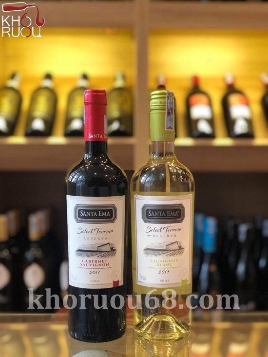 Rượu Vang Trắng Santa Ema Select Terroir Reserva