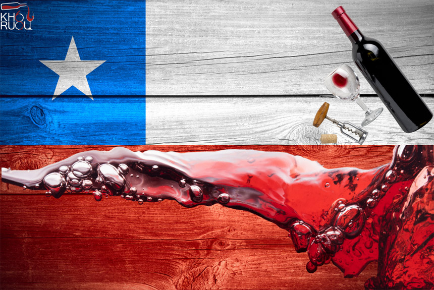 Rượu vang đỏ Chile